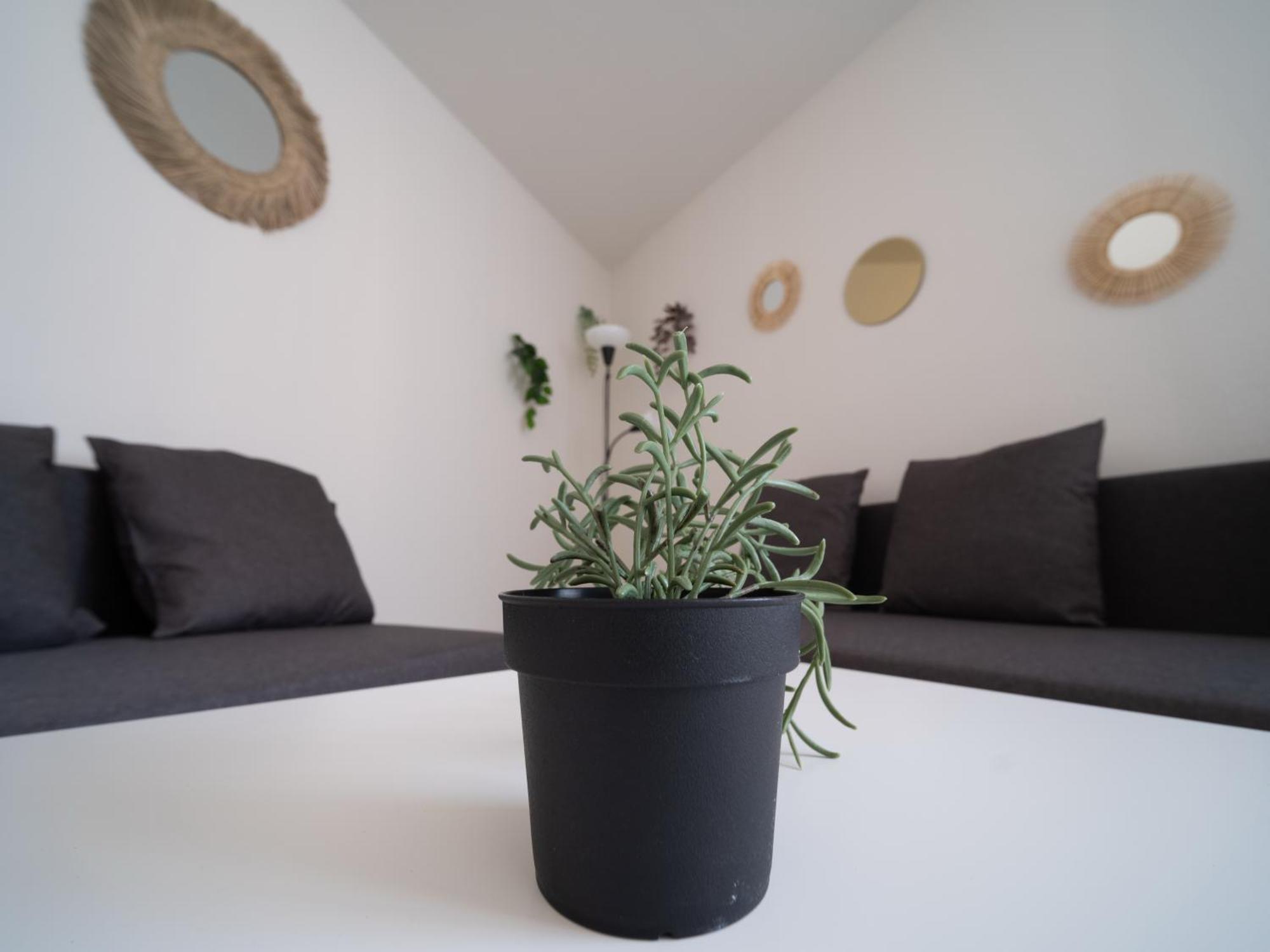Appartement Tout Equipe A 6Min De La Gare St Charles Марсель Екстер'єр фото